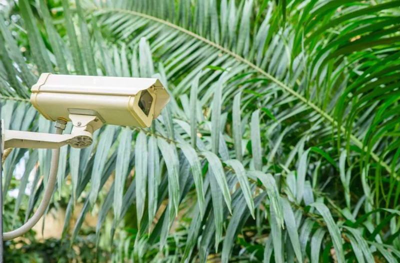 Quel type de caméra de surveillance pour votre villa de luxe ?